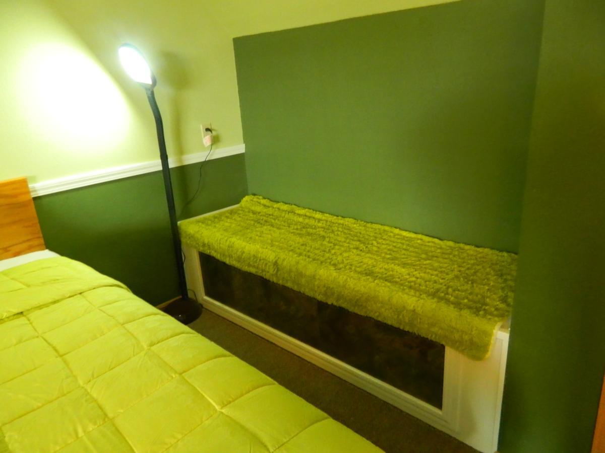 Country Motor Inn Λίβινγκστον Εξωτερικό φωτογραφία